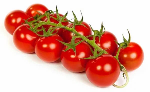 تصویر 3 از خرید و قیمت گوجه گیلاسی قرمز + فروش عمده